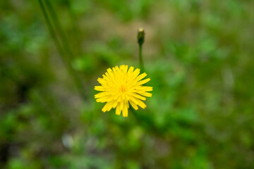 北海道札幌市周辺の風景 Scenery around Sapporo City, Hokkaido 