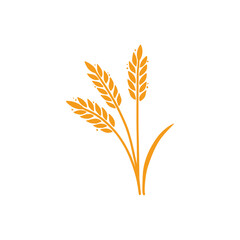Wheat, barley, rice icon. Hand drawn sketch style oat with grain. Wheat isolated vector illustration. Golden color barley.