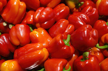 Bunch of paprika sweet bell peppers in market