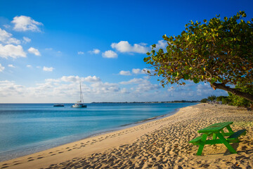 Table en bois vert près d& 39 un arbre au bord de la mer des Caraïbes sur Seven Mile Beach à Grand Cayman