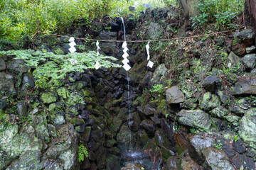 東京都八王子市の高尾山を登山している風景 Scenery of climbing Mt. Takao in Hachioji City, Tokyo.