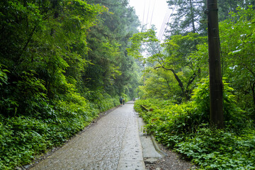 東京都八王子市の高尾山を登山している風景 Scenery of climbing Mt. Takao in Hachioji City, Tokyo.