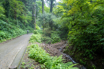 東京都八王子市の高尾山を登山している風景 Scenery of climbing Mt. Takao in Hachioji City, Tokyo.