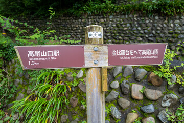 東京都八王子市の高尾山を登山している風景 Scenery of climbing Mt. Takao in Hachioji City, Tokyo.