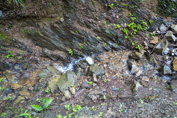 東京都八王子市の高尾山を登山している風景 Scenery of climbing Mt. Takao in Hachioji City, Tokyo.