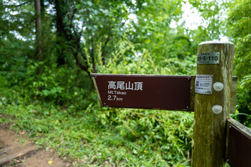 東京都八王子市の高尾山を登山している風景 Scenery of climbing Mt. Takao in Hachioji City, Tokyo.