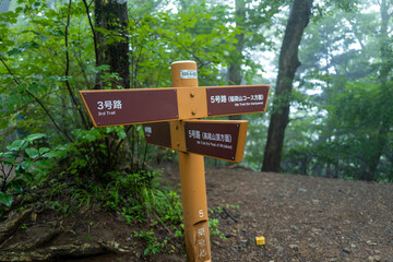 東京都八王子市の高尾山を登山している風景 Scenery of climbing Mt. Takao in Hachioji City, Tokyo.