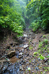 東京都八王子市の高尾山を登山している風景 Scenery of climbing Mt. Takao in Hachioji City, Tokyo.