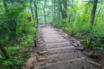 Obraz premium 東京都八王子市の高尾山を登山している風景 Scenery of climbing Mt. Takao in Hachioji City, Tokyo.