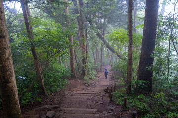 東京都八王子市の高尾山を登山している風景 Scenery of climbing Mt. Takao in Hachioji City, Tokyo.