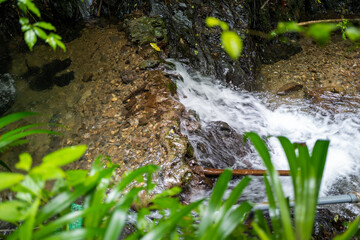 東京都八王子市の高尾山を登山している風景 Scenery of climbing Mt. Takao in Hachioji City, Tokyo.