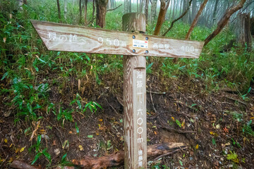 徳島県美馬市、三好市、那賀町にある剣山を登山している風景 Scenery of climbing Mount Tsurugi in Mima City, Miyoshi City, and Naka Town, Tokushima Prefecture.