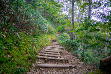 愛媛県西条市にある石槌山を紅葉の季節に登山する風景 A view of climbing...