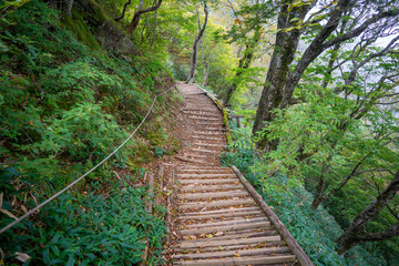 愛媛県西条市にある石槌山を紅葉の季節に登山する風景 A view of climbing Mount Ishizuchi in Saijo City, Ehime Prefecture, during the season of autumn leaves.