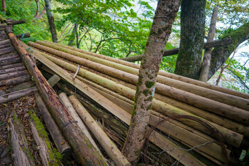 愛媛県西条市にある石槌山を紅葉の季節に登山する風景 A view of climbing Mount Ishizuchi in Saijo City, Ehime Prefecture, during the season of autumn leaves.