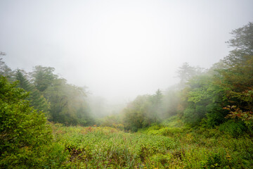 愛媛県西条市にある石槌山を紅葉の季節に登山する風景 A view of climbing Mount Ishizuchi in Saijo City, Ehime Prefecture, during the season of autumn leaves.