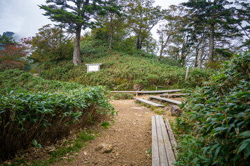 愛媛県西条市にある石槌山を紅葉の季節に登山する風景 A view of climbing...