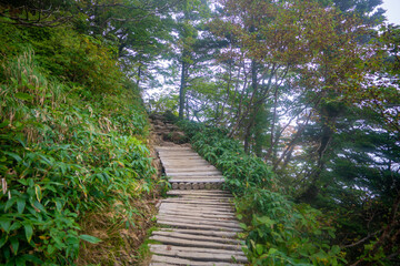 愛媛県西条市にある石槌山を紅葉の季節に登山する風景 A view of climbing...