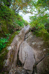 愛媛県西条市にある石槌山を紅葉の季節に登山する風景 A view of climbing Mount Ishizuchi in Saijo City, Ehime Prefecture, during the season of autumn leaves.