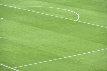 Obraz premium Green football field with nobody