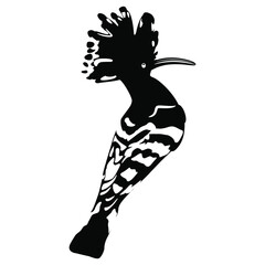 Hoopoe bird. Upupa epops. Black and white silhouette. Isolated vector illustration. © Olena