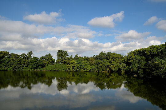 2 348 Best 綿雲 Images Stock Photos Vectors Adobe Stock