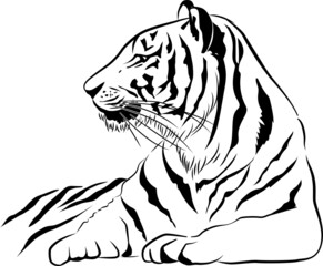 Monochrome line drawing illustration of a tiger, sideways, zodiac