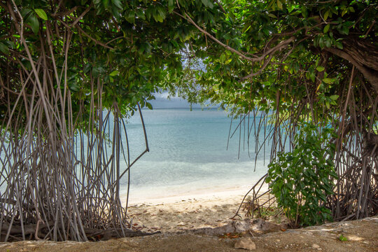 Peek-a-boo view of the beach in Oranjestad, Aruba.