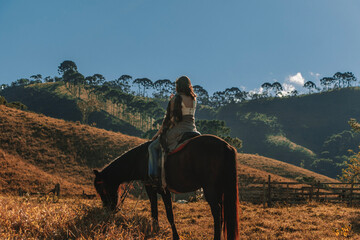 horse on the mountain