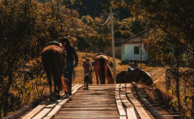 Passeio a cavalo
horse
natureza
nature
maua
montanha