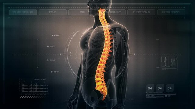 Anatomy of Human Male Spinal Cord on Futuristic Medical Interface dashboard. Seamless Loop.Animation.