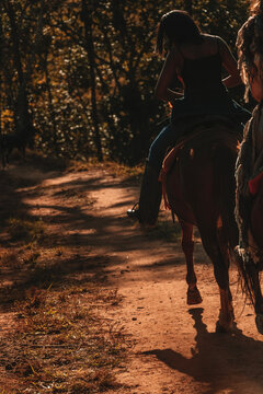 horse and rider