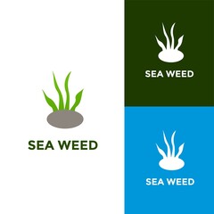 Seaweed logo design icon template on isolated background, alga logo symbol