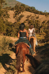 horse
passeio a cavalo
natureza
cavalo
