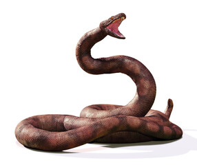 Titanoboa, the largest snake that ever lived, isolated on white background - obrazy, fototapety, plakaty