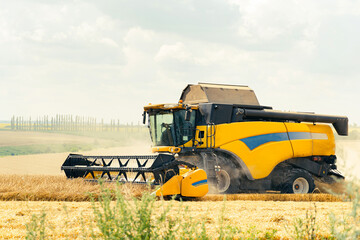 Obraz premium combine harvester in a wheat field harvesting