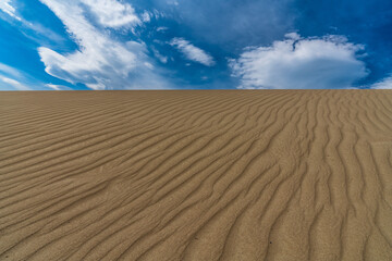 Carcross desert in Yukon is considered to be the smallest desert in the world
