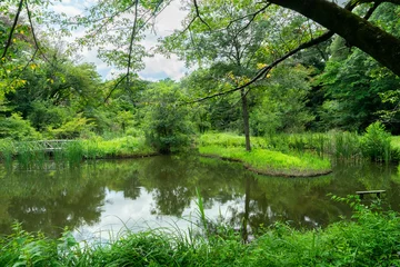 Gardinen 自然教育園 © jay_a