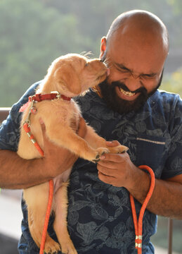 A picture of a bald man and a Labrador puppy licking him