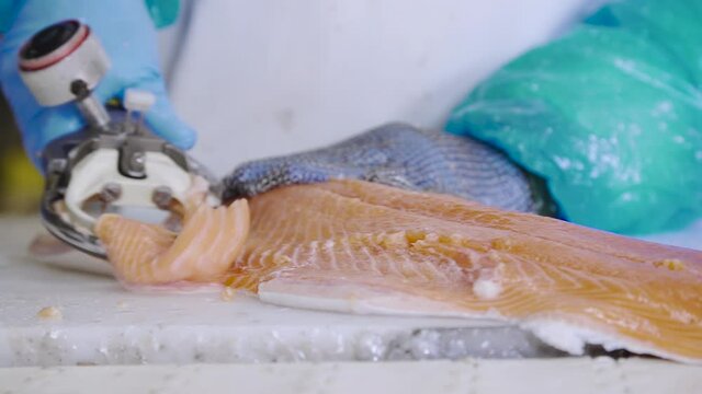 cutting the peritoneum of a salmon fillet with a machine in slow motion macro close-up.