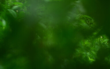 green dark texture background pattern and vintage or grunge. abstract old paint and rusty of wall black color and retro. cool and scary color background. page paper rough. 