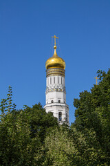 Fototapeta na wymiar The high Kremlin white bell tower with a golden dome Ivan the Great in a natural frame made of tree branches with green leaves on a sunny summer day and blue sky in Moscow Russia