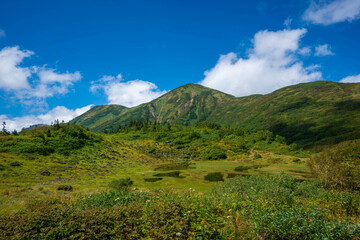 新潟県糸魚川市、妙高市にある火打山、妙高山の登山をしている風景 Scenery of climbing Mount Hiuchi and Mount Myoko in Itoigawa and Myoko City, Niigata Prefecture.