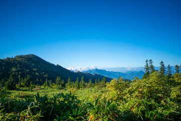 新潟県糸魚川市、妙高市にある火打山、妙高山の登山をしている風景 Scenery of climbing Mount Hiuchi and Mount Myoko in Itoigawa and Myoko City, Niigata Prefecture.