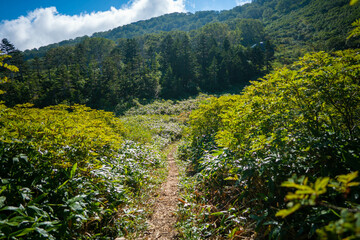 新潟県糸魚川市、妙高市にある火打山、妙高山の登山をしている風景 Scenery of climbing Mount Hiuchi and Mount Myoko in Itoigawa and Myoko City, Niigata Prefecture.