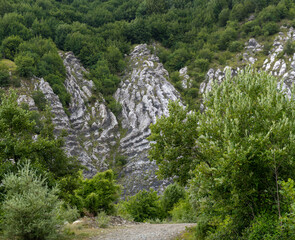 Gessi Triassici
