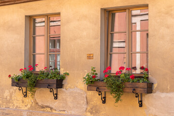 Fototapeta na wymiar European style window and flower. Summer. Kuldiga, Latvia