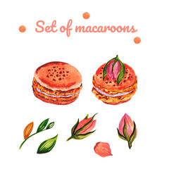 Set of macaroons with rose buds and leaves on the white background. 