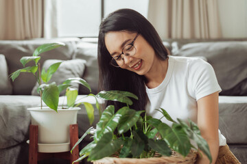 Happy woman care for her plants at home. Asian woman gardening at home, Home gardening.