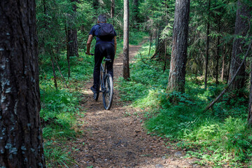 Fototapeta premium A cyclist with a backpack rides along a summer forest road. The concept of an active lifestyle in nature.